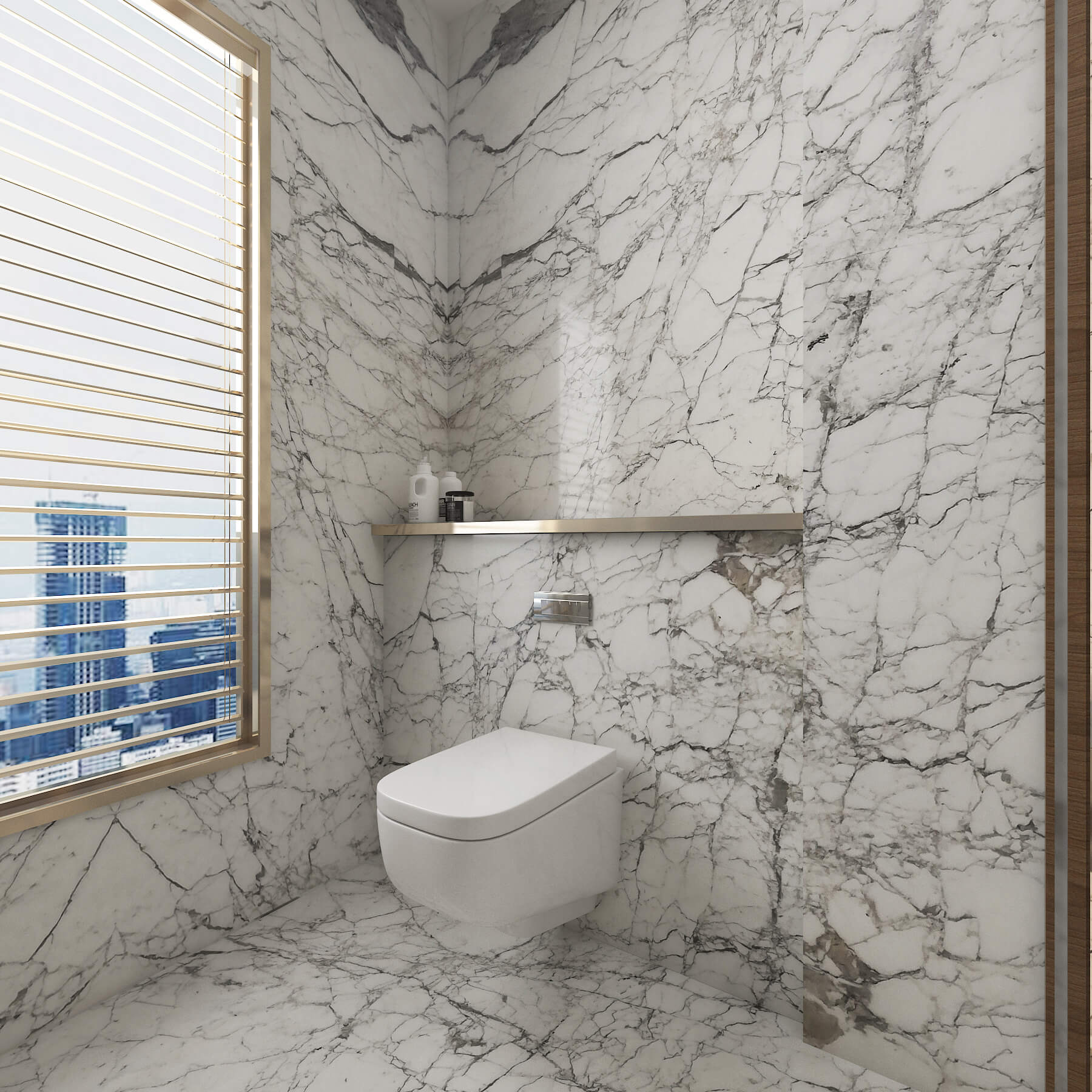 Calacatta Vagli Marble